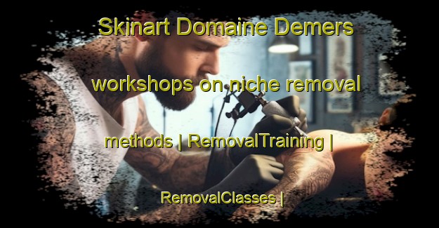 Skinart Domaine Demers workshops on niche removal methods | RemovalTraining | RemovalClasses | SkinartTraining-Canada